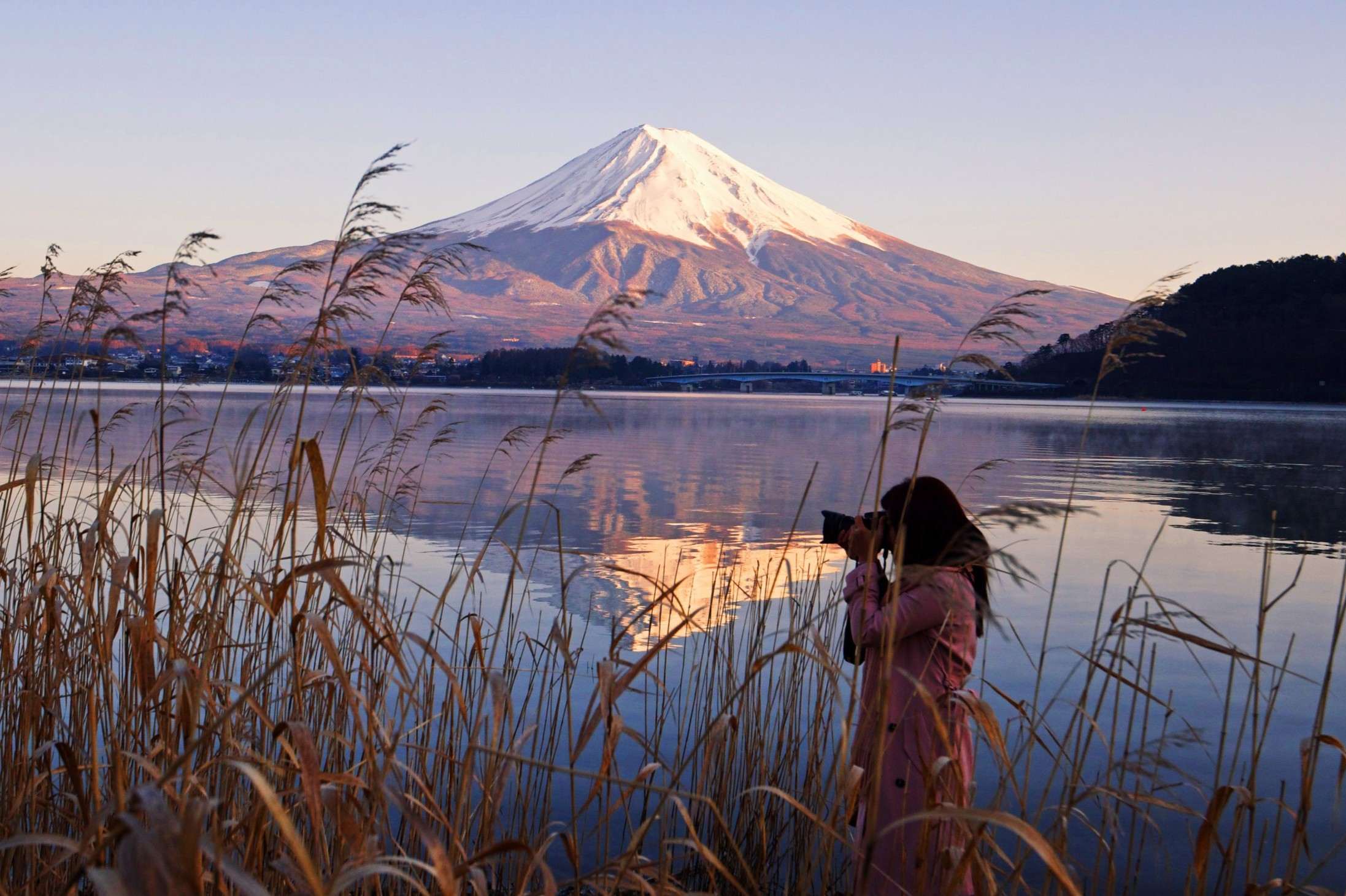 Kawaguchiko Mt. Fuji Views & Activities