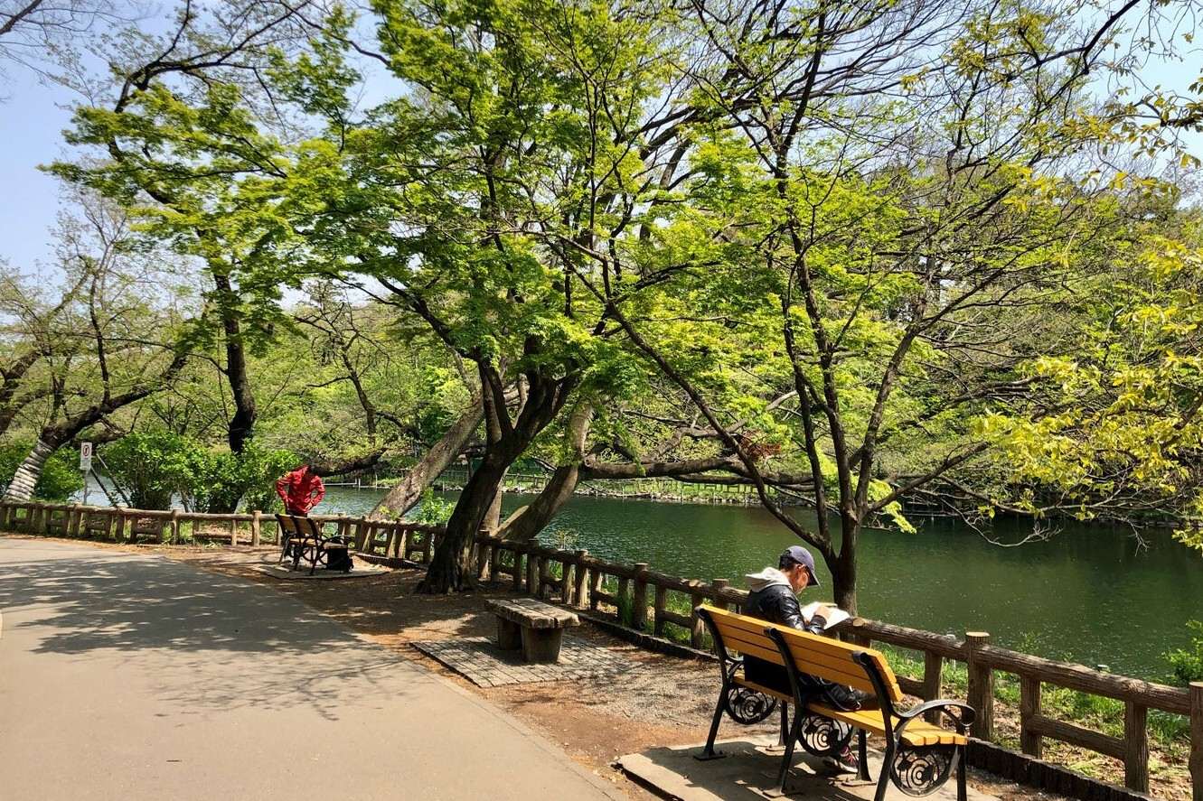 Kichijoji Inokashira Park & Cafés
