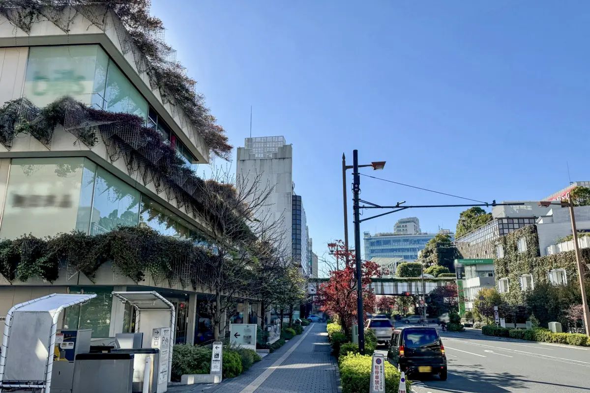 Nikotama Arts District & Cafés